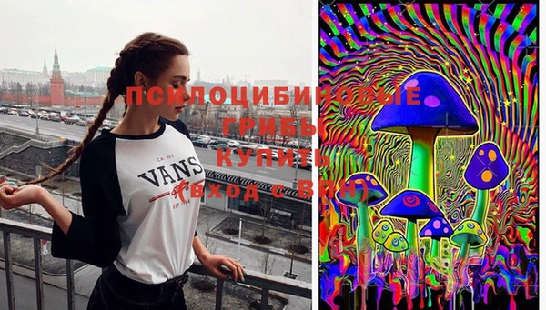 метадон Вязьма