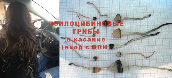 соль ск Вуктыл