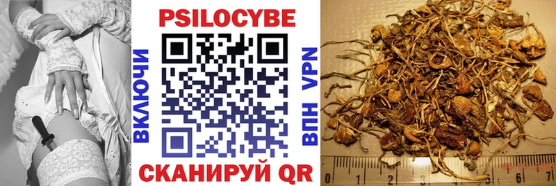 Галлюциногенные грибы мухоморы  KRAKEN зеркало  Галич 