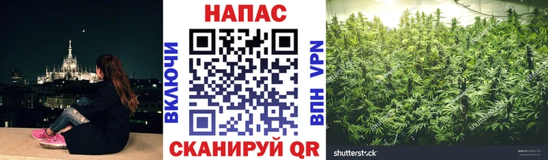 цены наркотик  Галич  ОМГ ОМГ сайт  Конопля марихуана 